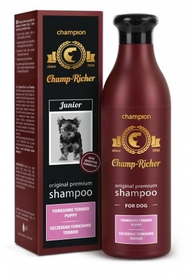 champion zestaw dla yorka juniora szampon odżywka
