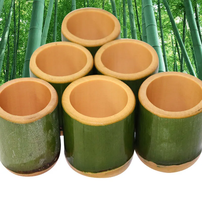 BambooUp