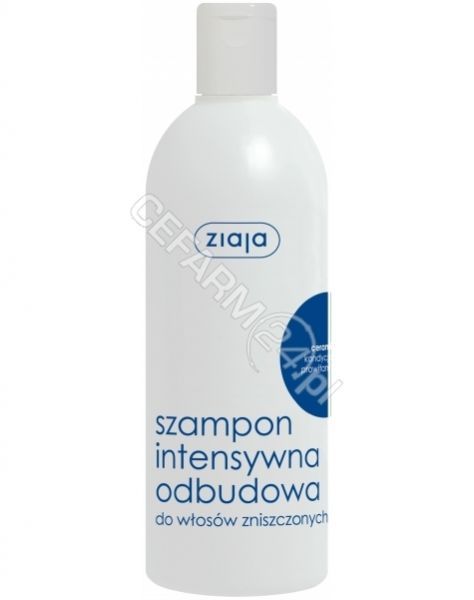 ziaja szampon intensywna świeżość mięta włosy tłuste 400 ml