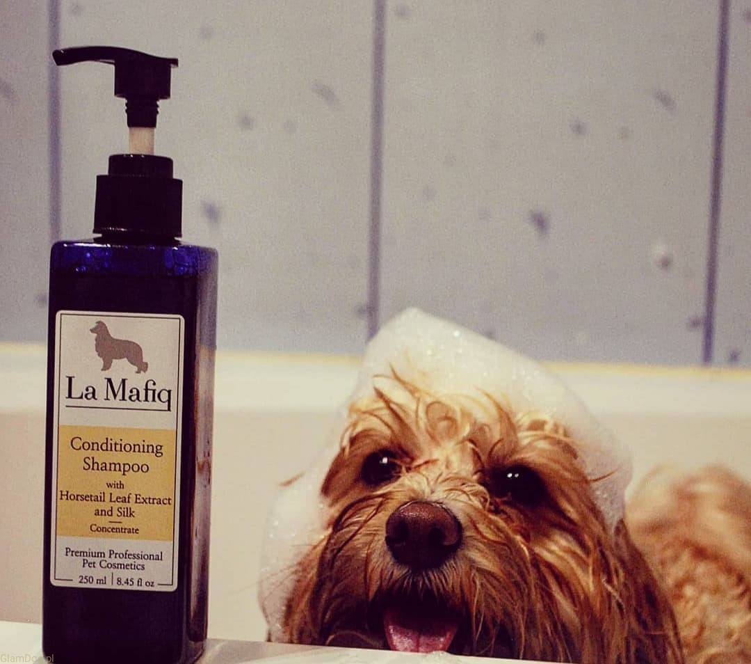 szampon oczyszczajacy dla psa