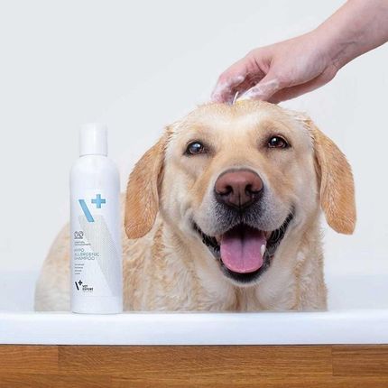 łojotok suchy szampon dla psów vetexpert