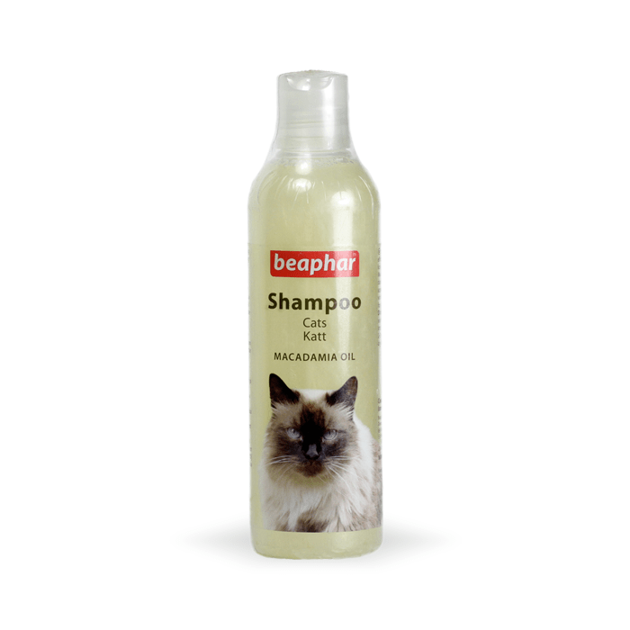 szampon dla kota ragdoll