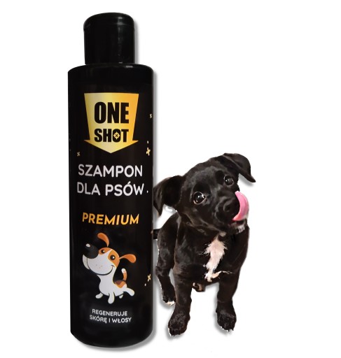 szampon i odżywka na łupież dla psa