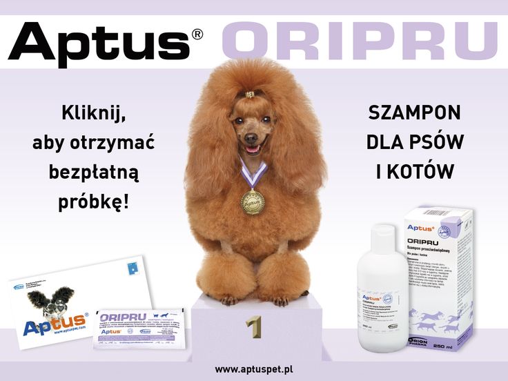 aptus szampon próbka