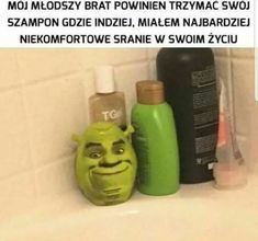 szampon shrek
