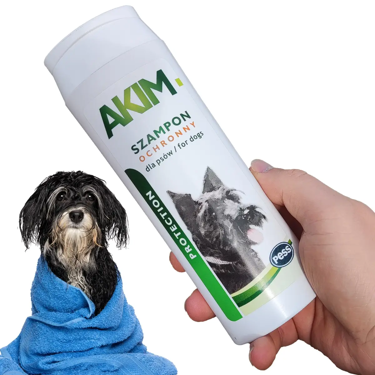 szampon dla psa jak umyć