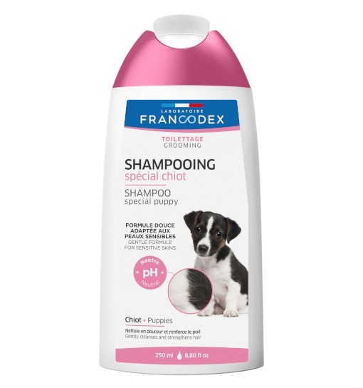 szampon nieszczypiący dla psa