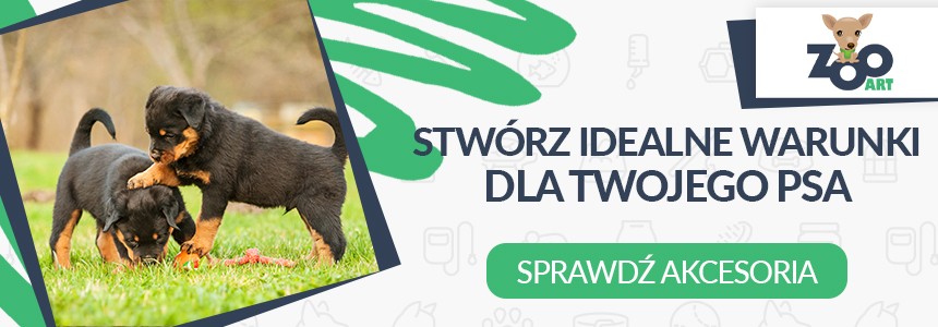 szampon do włosów polska firma