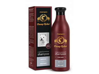 champ richer szampon opinie