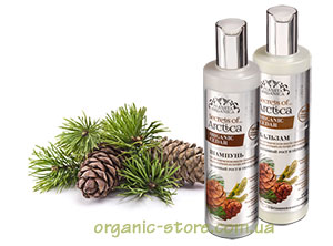 organic cedar szampon