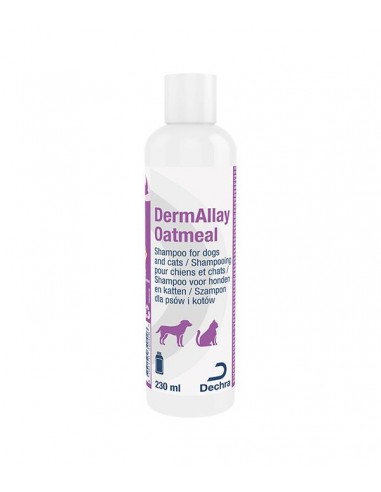 szampon przeciwdrożdzakom dla psów