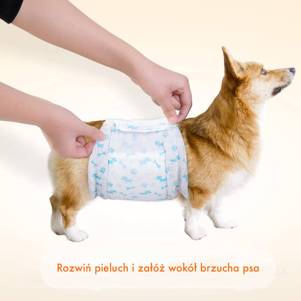 pieluchy dla psów starych