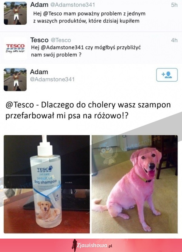 tesco szampon dla psa