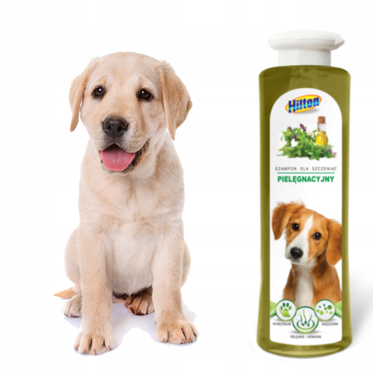 hilton szampon ziołowy dla psa