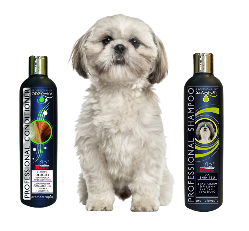 super beno szampon dla shih tzu