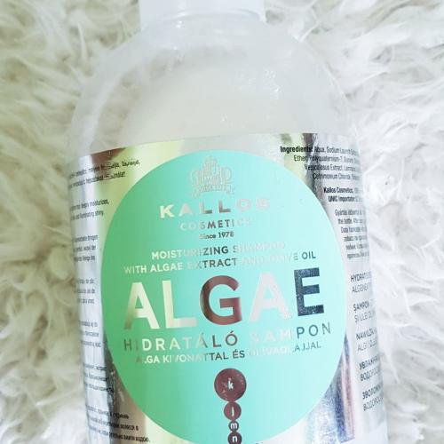 wizaz szampon kallos algae