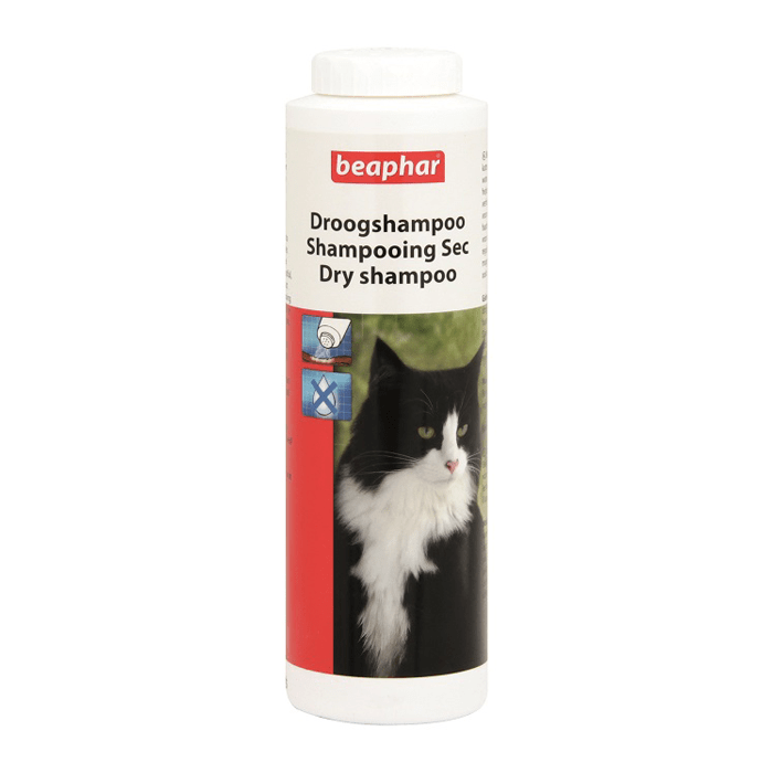 jaki suchy szampon dla kota kot smierdzi