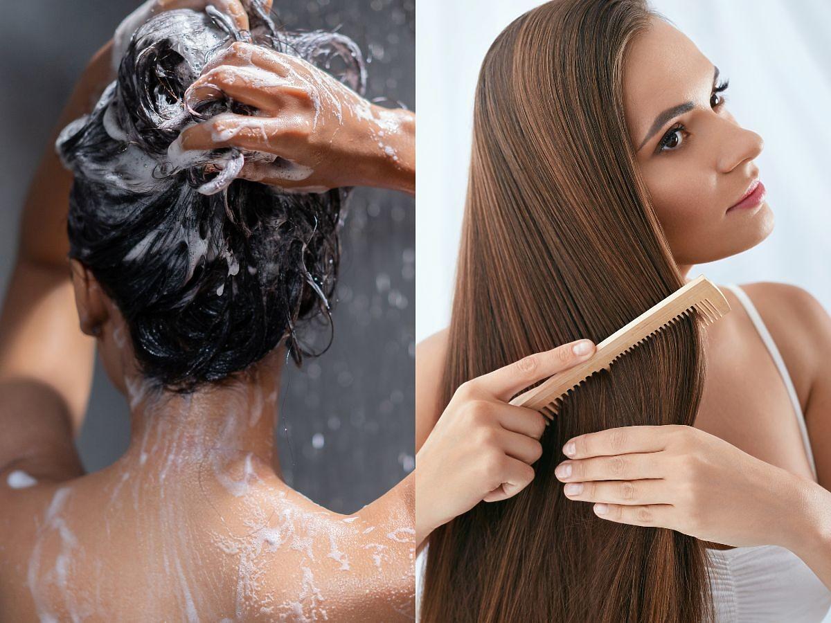 jaki szampon używać by dłużej były świerze
