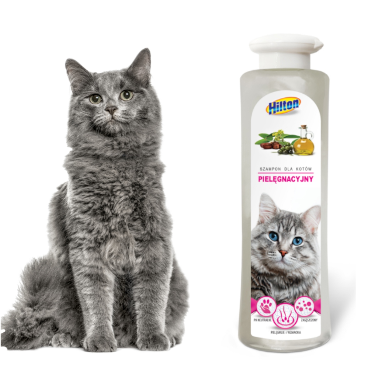 szampon dla kotów długowłosych hilton