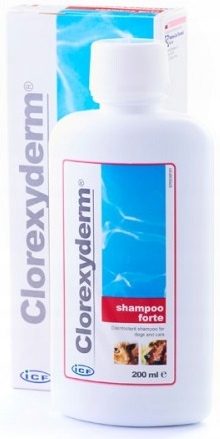 szampon leczniczy dla psa clorexyderm